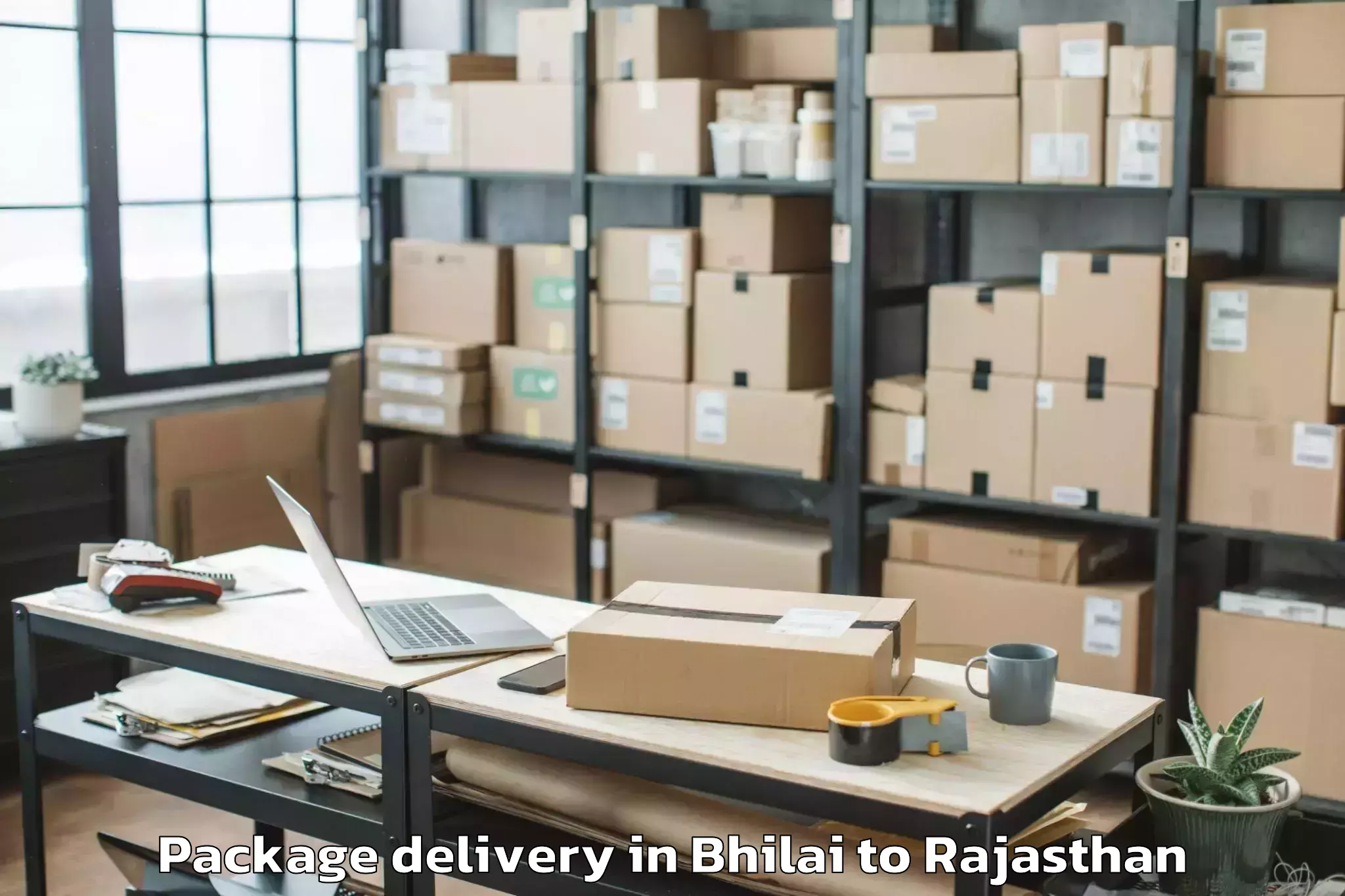 Trusted Bhilai to Sangam University Bhilwara Package Delivery